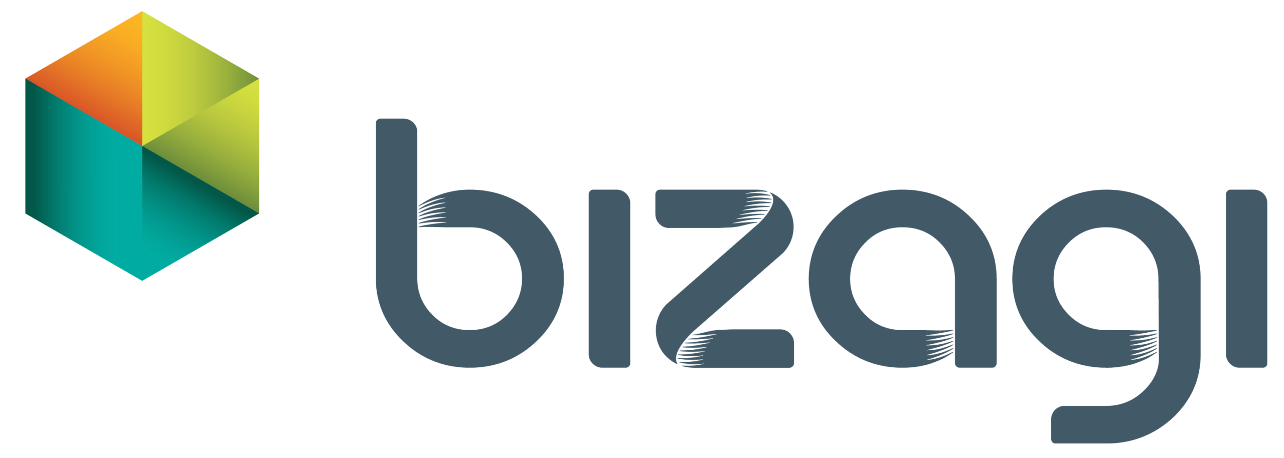 Bizagi